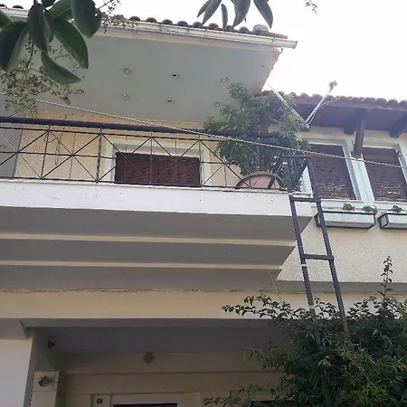 Bakalmpasis * Vernardhaiika